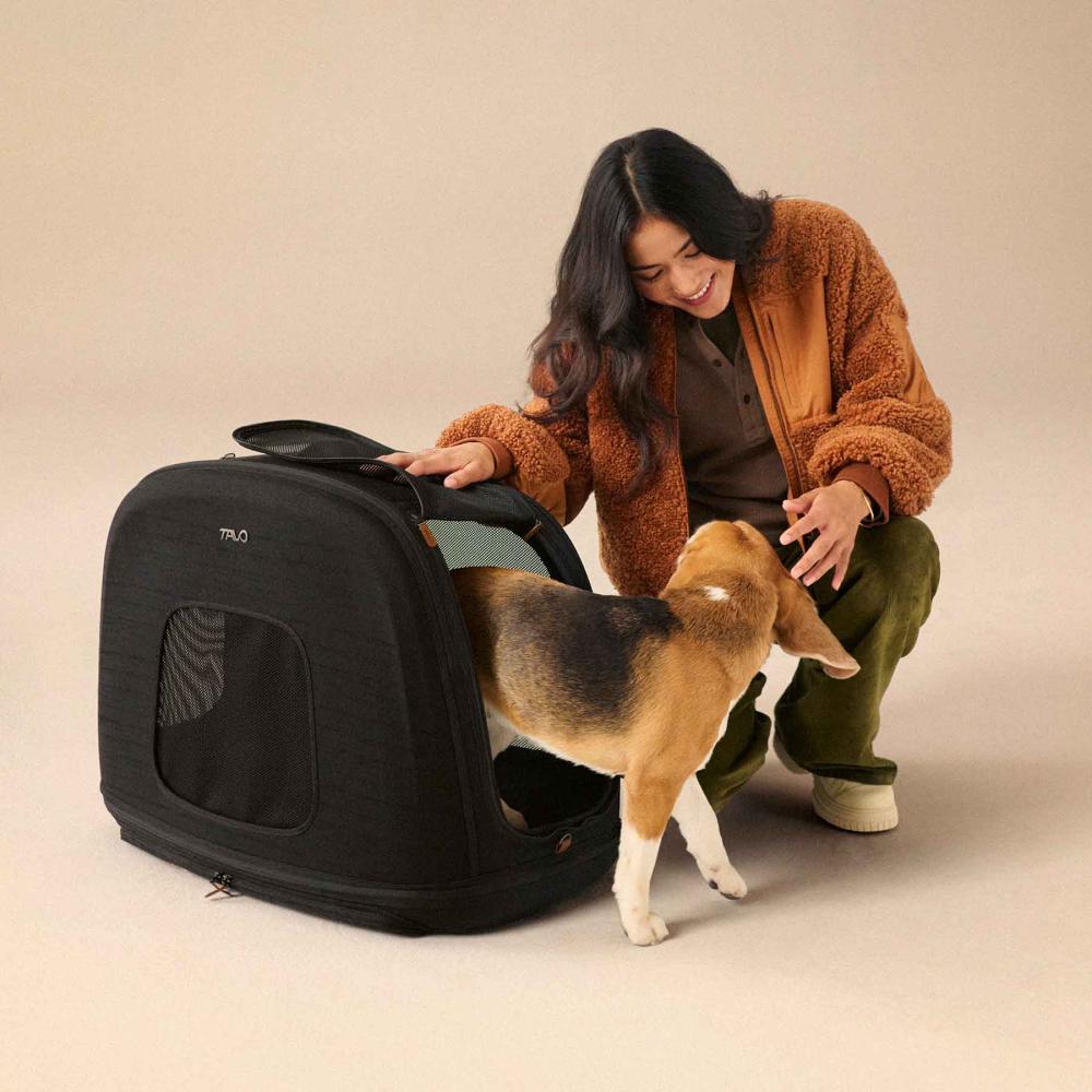 A beagle walks out of an Onyx Crispin and towards a woman who is smiling