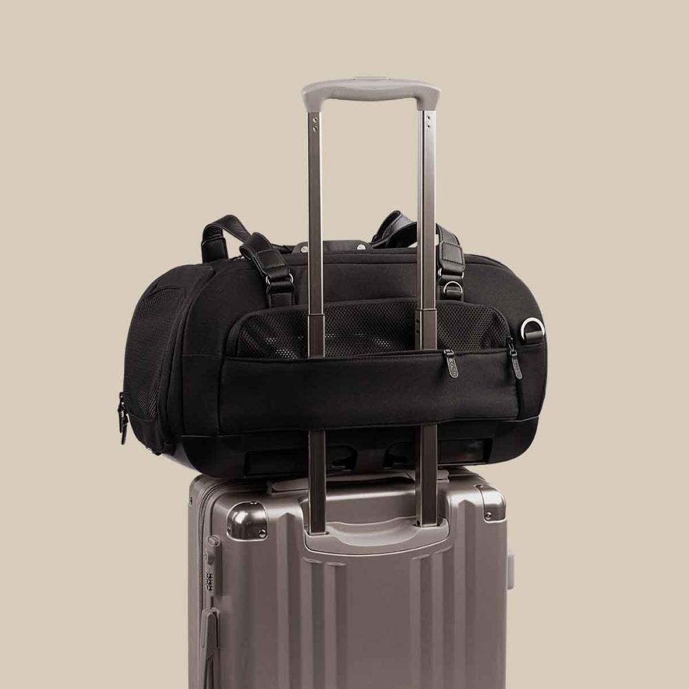 An Onyx fashion Dupree sits on top of a suitcase attached by the trolley sleeve