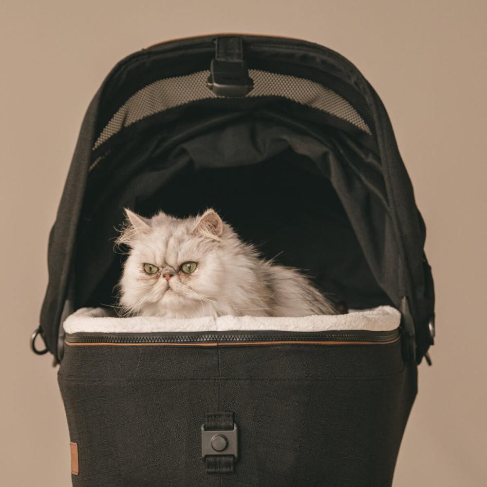 A fluffy white cat sitting in the Maeve carrier in onyx fashion with open canopy.