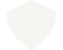 Defense Shield Icon