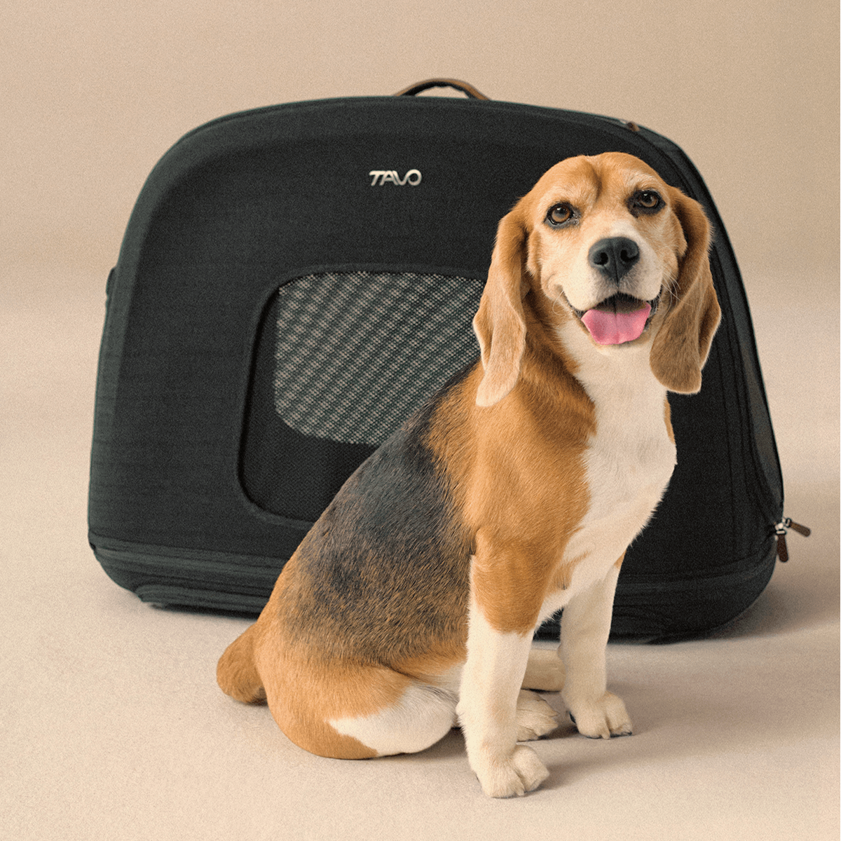 Dog Carrier Dog Cages Target IATA Approved Travel Dog Crate