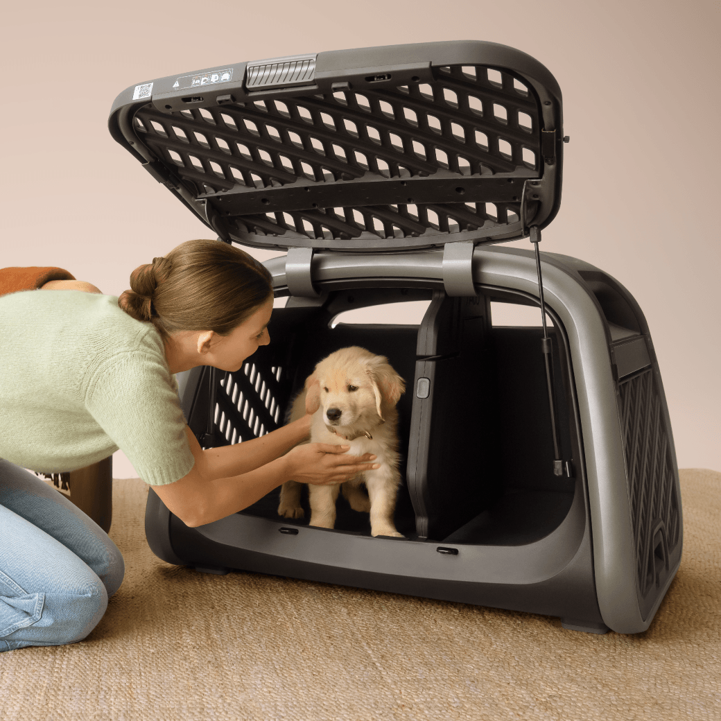 The Everett L crate divider stailled in the pet cargo crate with a woman petting a golden retriever puppy inside of it 

