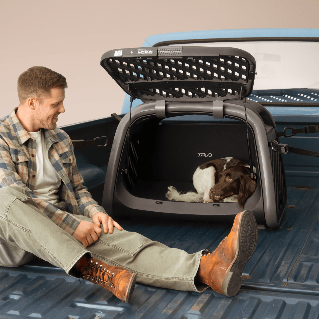 A man sitting in the bed of a pickup truck next to the Everett L pet cargo crate installed into the vehicle with a dog laying in it 