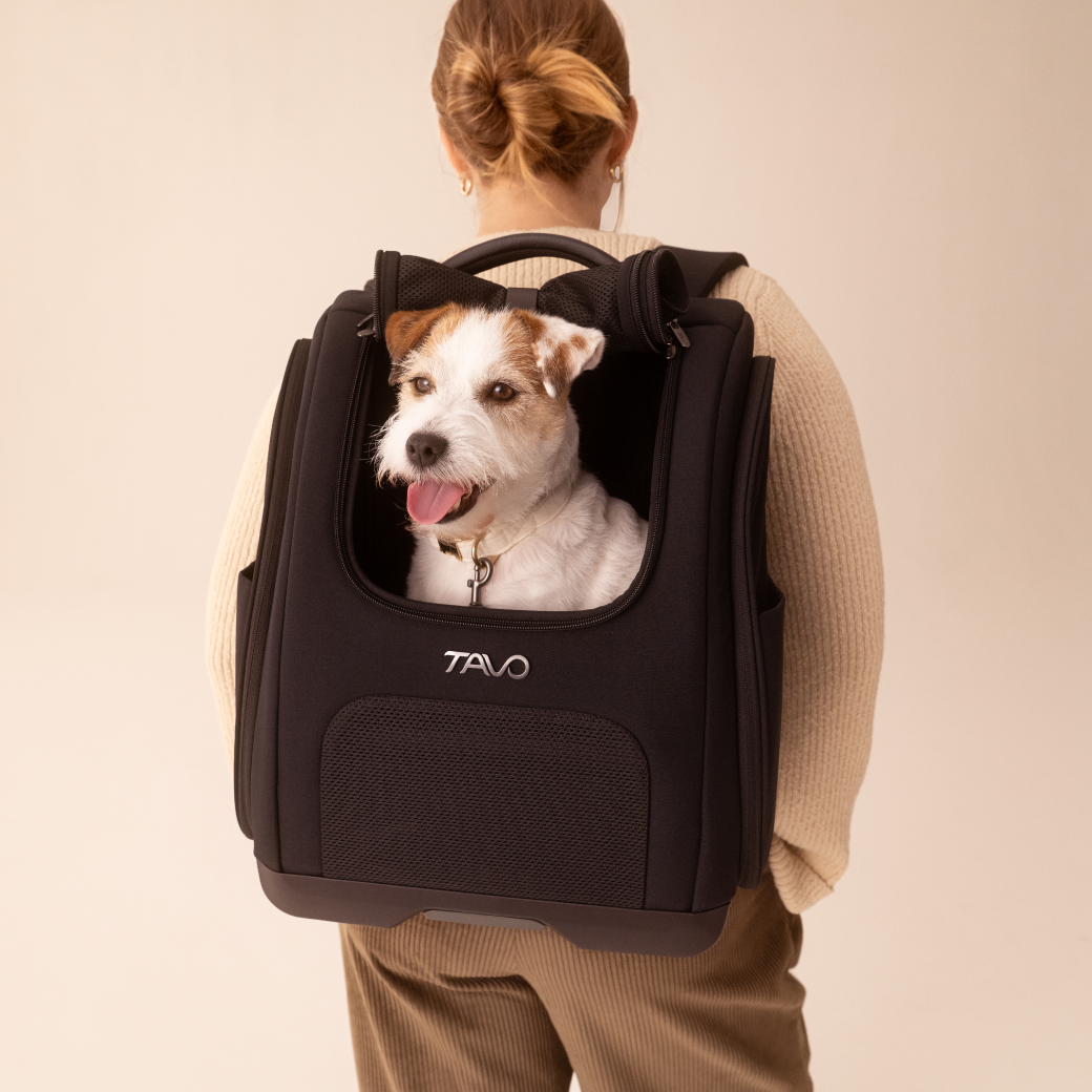 A Kamella Pet Backpack and Car Seat on a woman's back with a dog inside of it 
