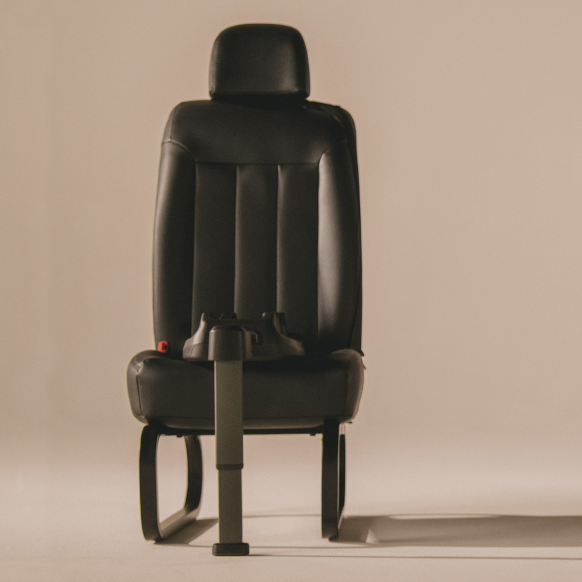 TAVO 小型犬用 Maeve5X Fawn-フォーン- Maeve➕ベース TAVO 小型犬用