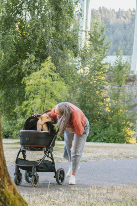 A woman on a wooded walking path leaning over to pet her dog riding in a Tavo Maeve stroller.