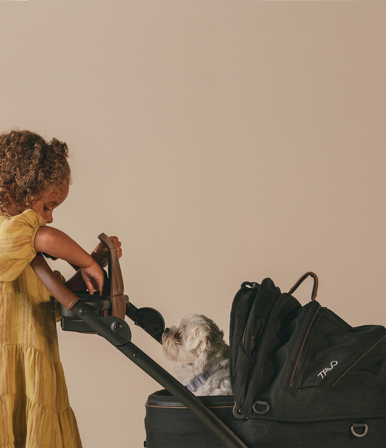 A white dog in a stroller waiting for a treat from a little girl