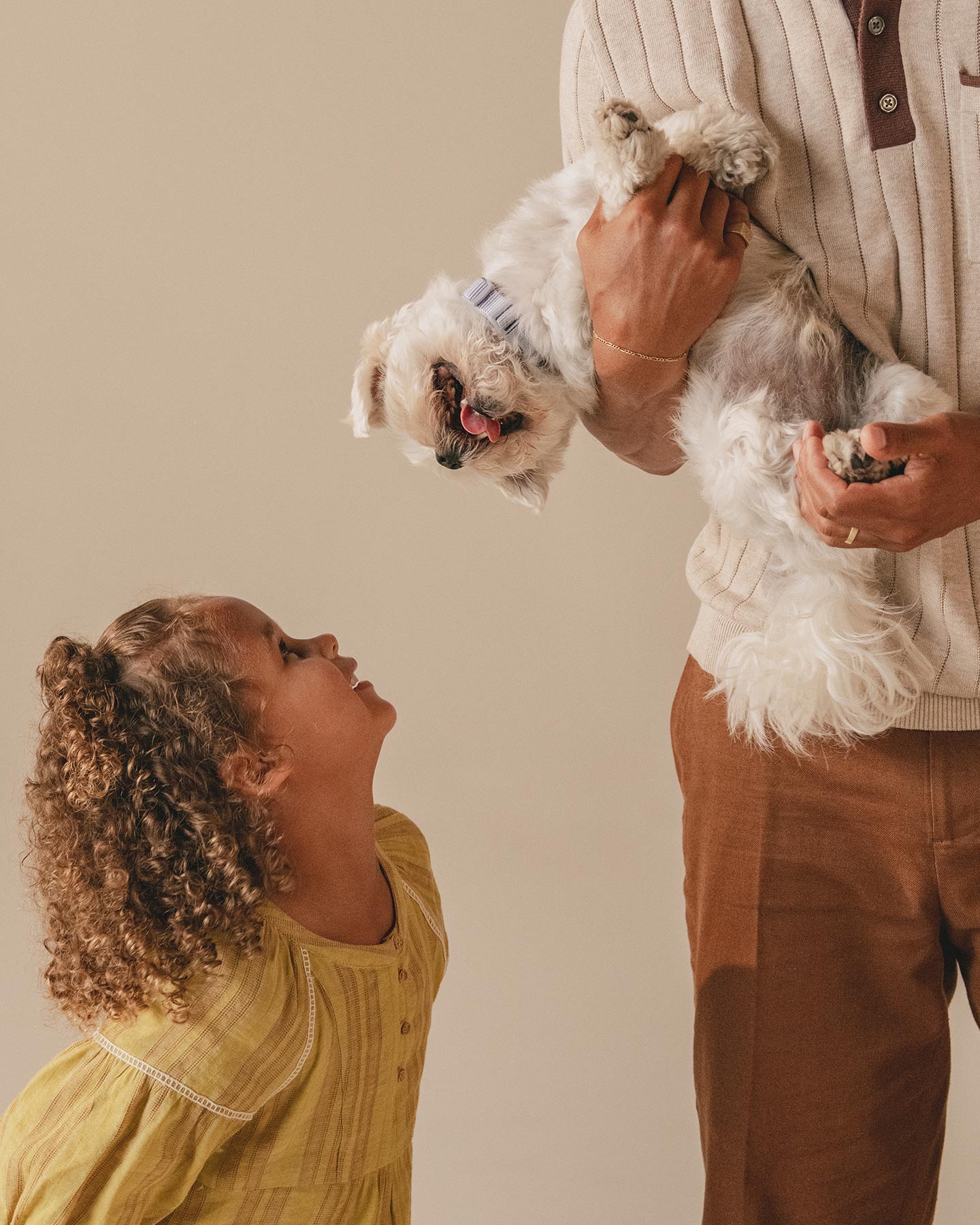 A little girl laughing and looking up at a white puppy being held by her dad