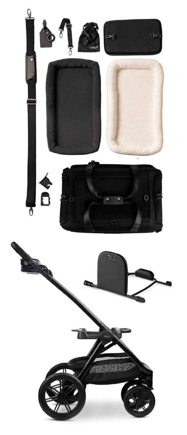 An image of all the things that come in the box with a Hendrick Pet Travel System, including all of the accessories